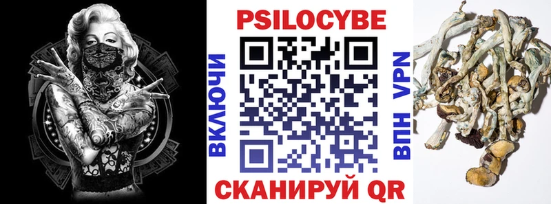 omg ссылка купить закладку Тимашёвск Галлюциногенные грибы мицелий